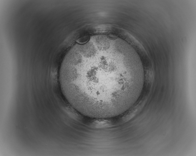 X0000111940557200908101204