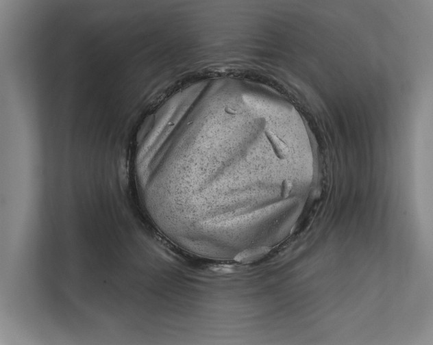 X0000111940558200908101204