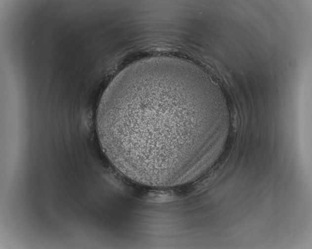 X0000111940559200908101204