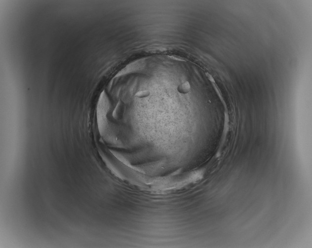 X0000111940560200908101204