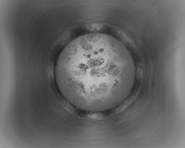 X0000111940561200908101204