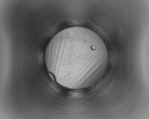 X0000111940563200908101204