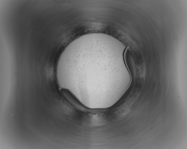 X0000111940564200908101204