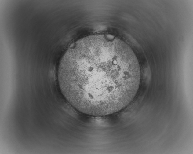 X0000111940565200908101204