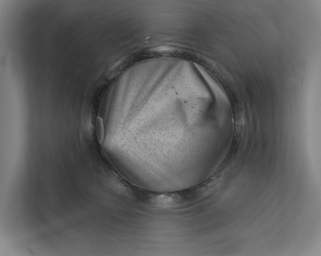 X0000111940566200908101204