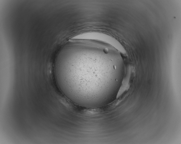 X0000111940567200908101204