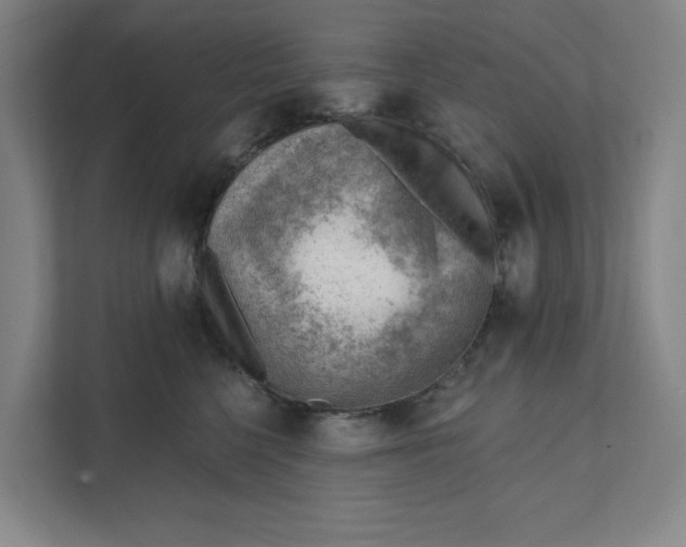 X0000111940568200908101204