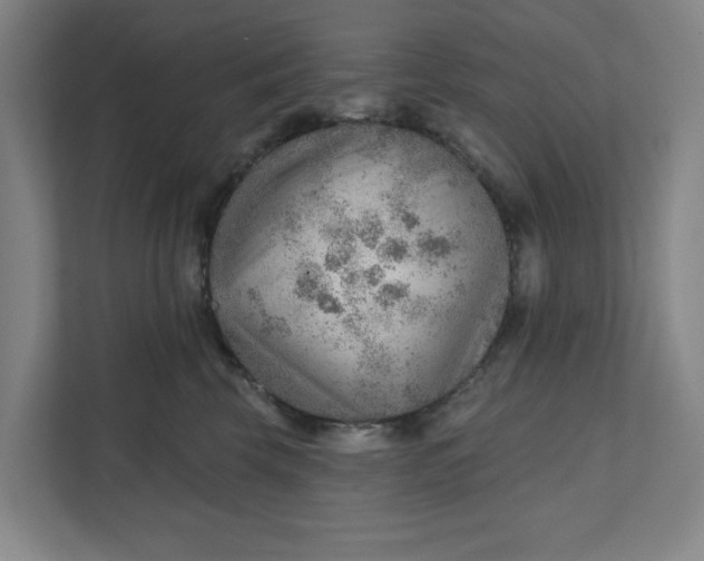 X0000111940569200908101204