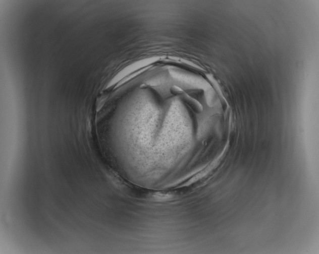 X0000111940570200908101204