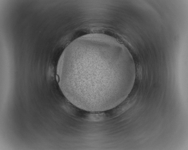 X0000111940571200908101204