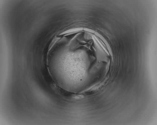 X0000111940572200908101204