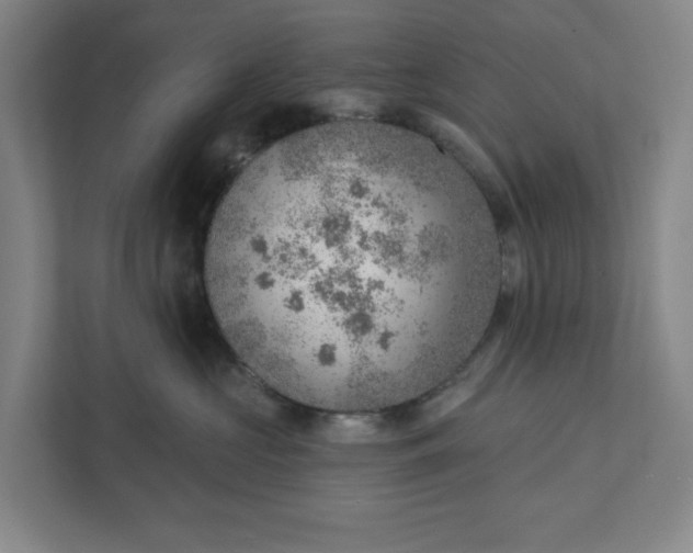 X0000111940573200908101204