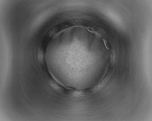 X0000111940574200908101204