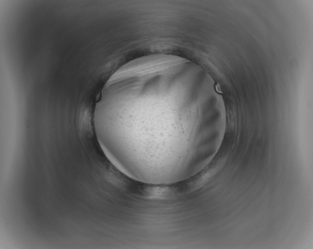 X0000111940575200908101204