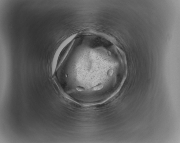 X0000111940576200908101204