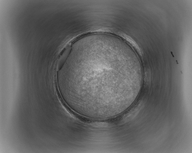 X0000111940577200908101204