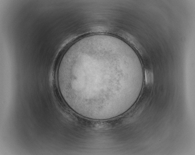 X0000111940579200908101204