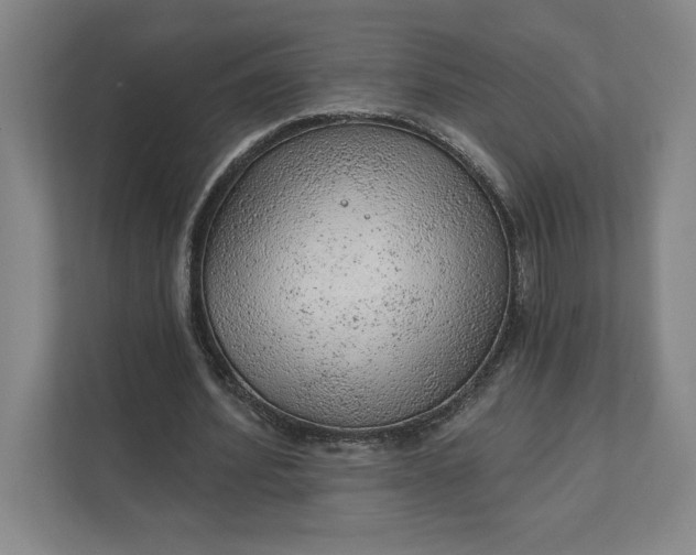 X0000111940580200908101204