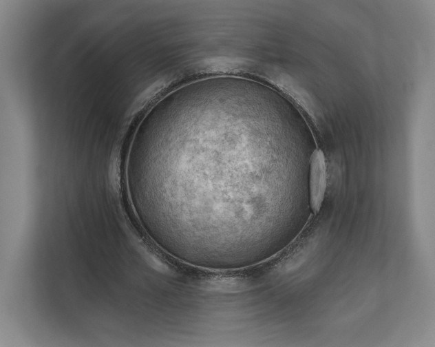 X0000111940581200908101204