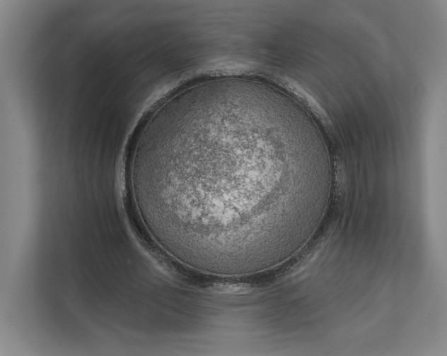 X0000111940582200908101204