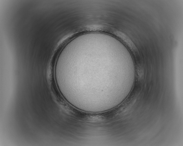 X0000111940583200908101204