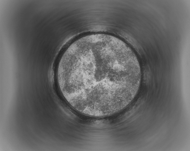 X0000111940584200908101204