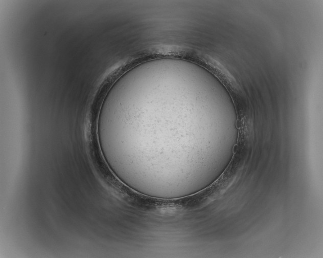 X0000111940587200908101204