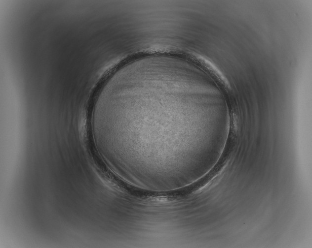 X0000111940588200908101204