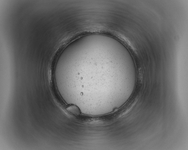 X0000111940589200908101204