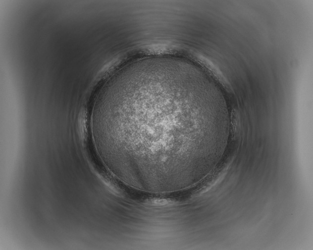 X0000111940590200908101204