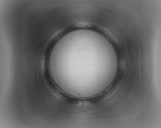 X0000111940591200908101204