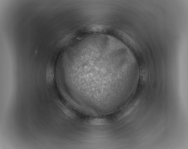 X0000111940593200908101204