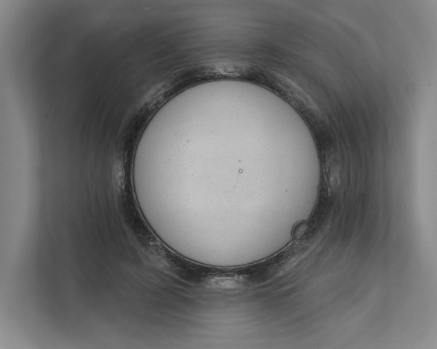 X0000111940595200908101204