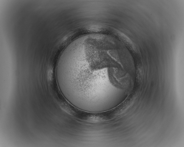 X0000111940596200908101204