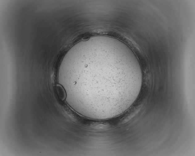 X0000111940597200908101203