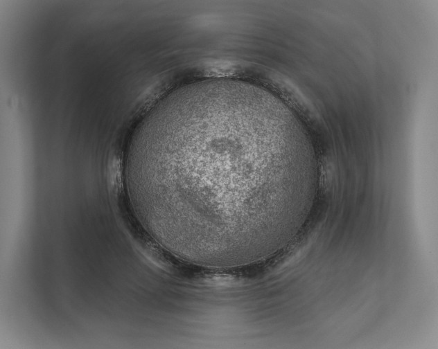 X0000111940598200908101203