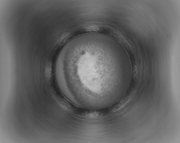 X0000111940600200908101203