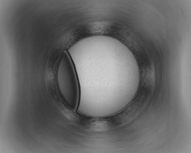 X0000111940601200908101203