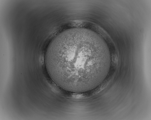 X0000111940602200908101203