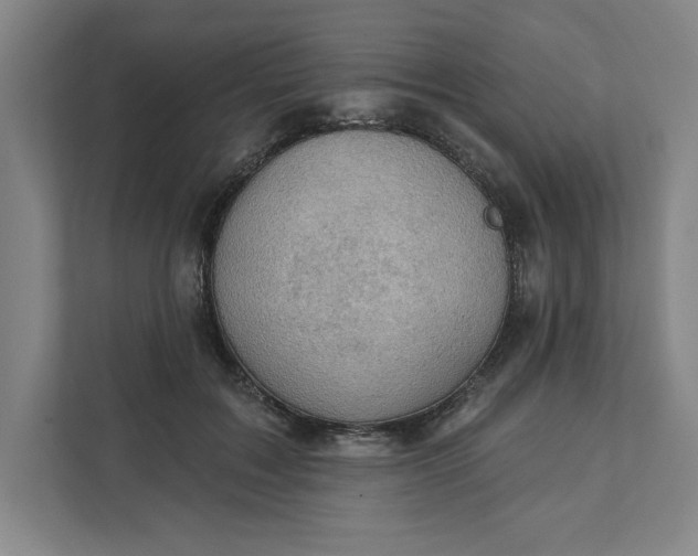 X0000111940603200908101203