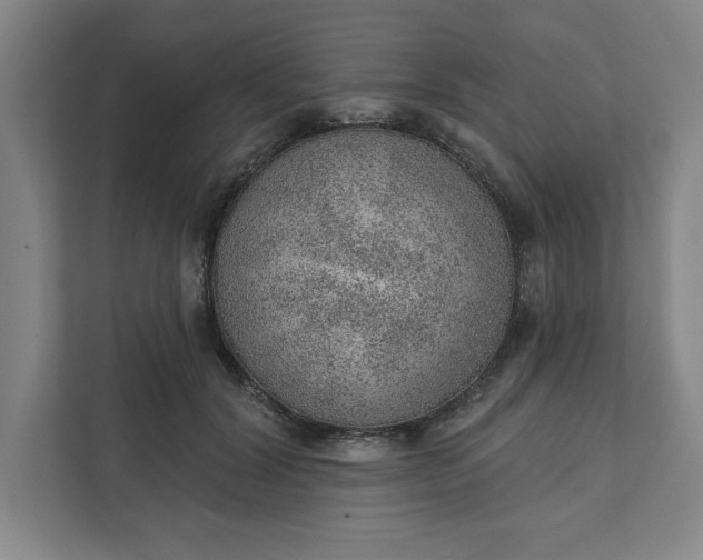 X0000111940604200908101203