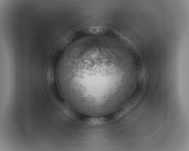 X0000111940606200908101203