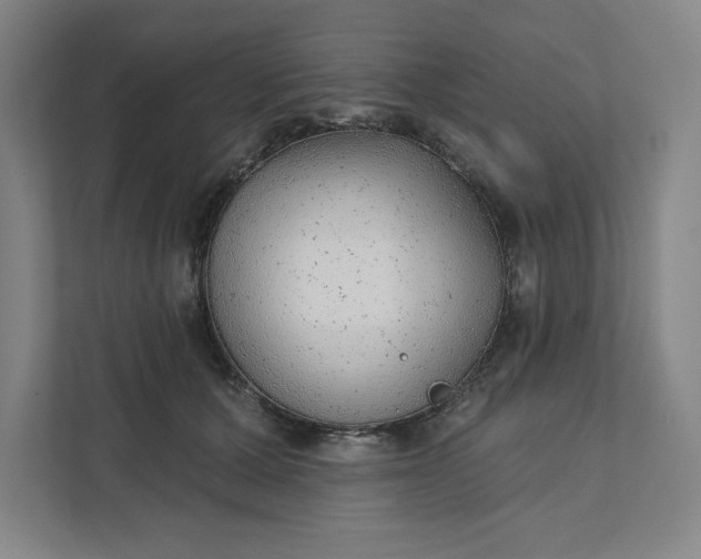 X0000111940607200908101203