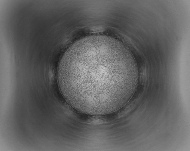 X0000111940608200908101203