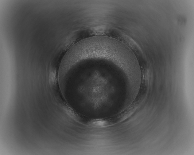 X0000111940610200908101203