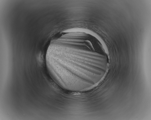 X0000111940611200908101203