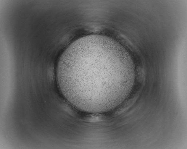 X0000111940612200908101203