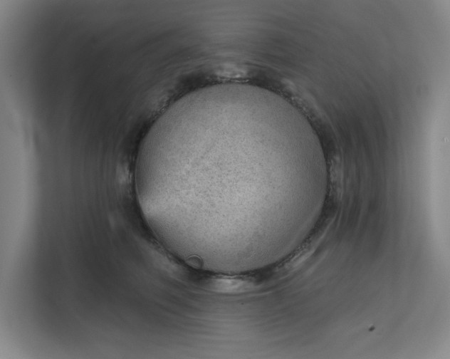 X0000111940614200908101203