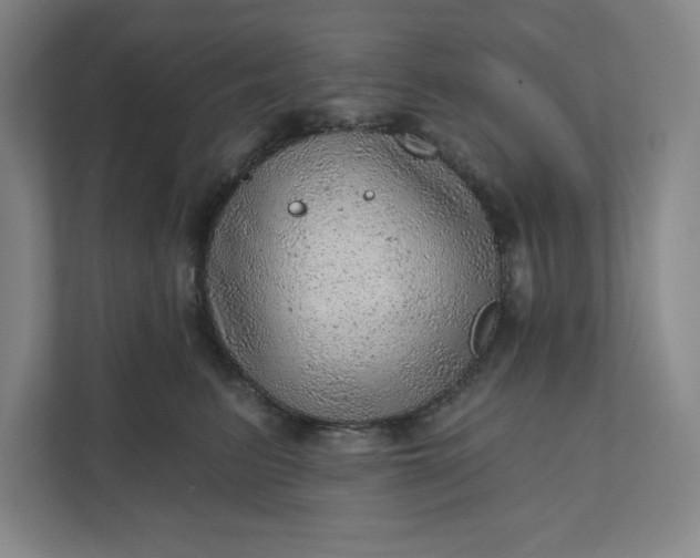 X0000111940615200908101203