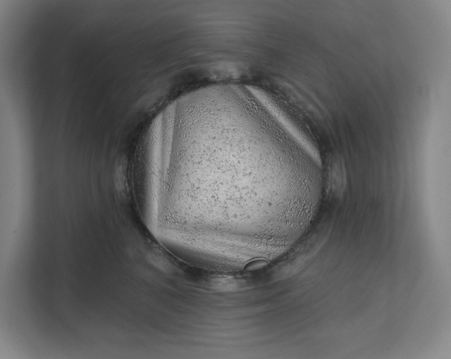 X0000111940616200908101203